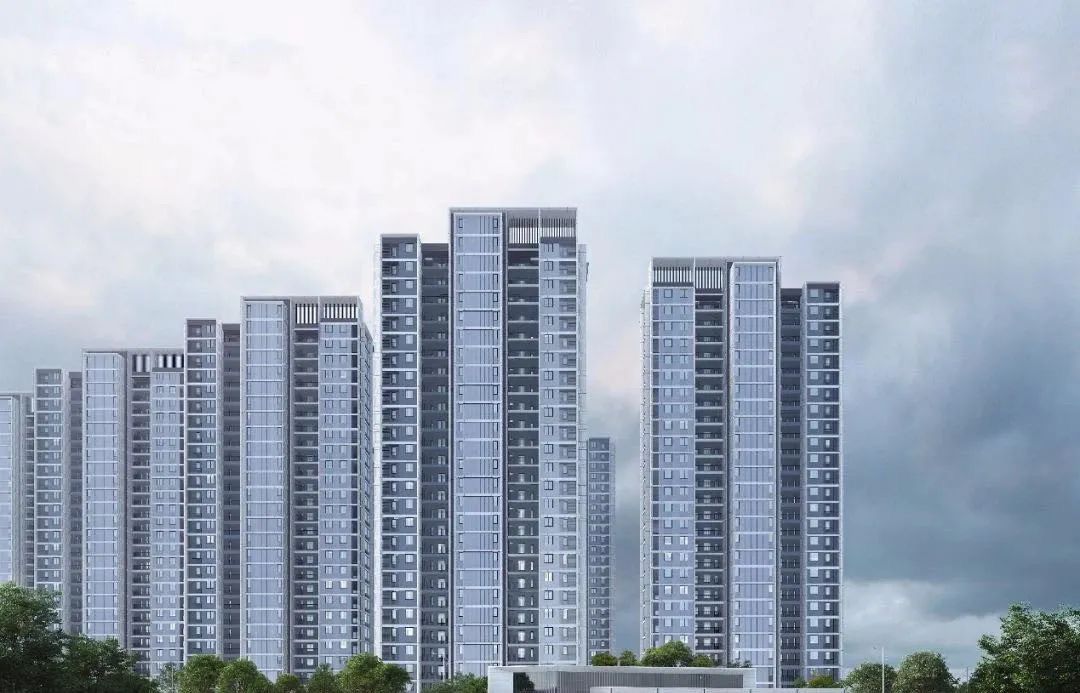 ���� | ������