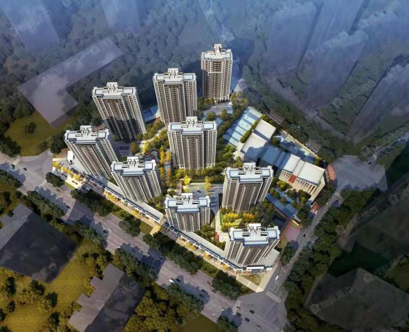 ���� | �����������